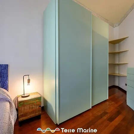 Daire Museum, Terremarine