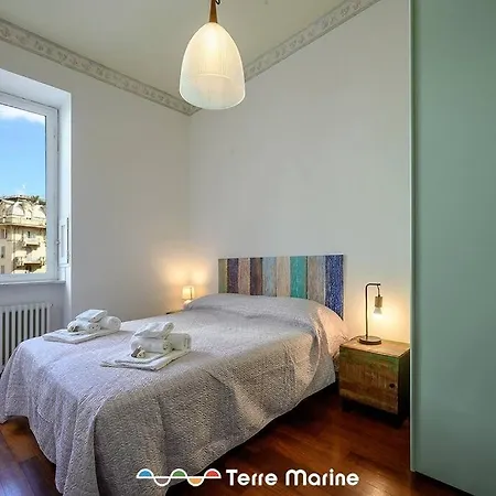 Daire Museum, Terremarine *